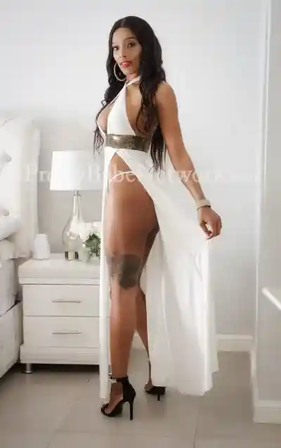 Young Brazilian Escort Girl Luna For Anal Intercourse