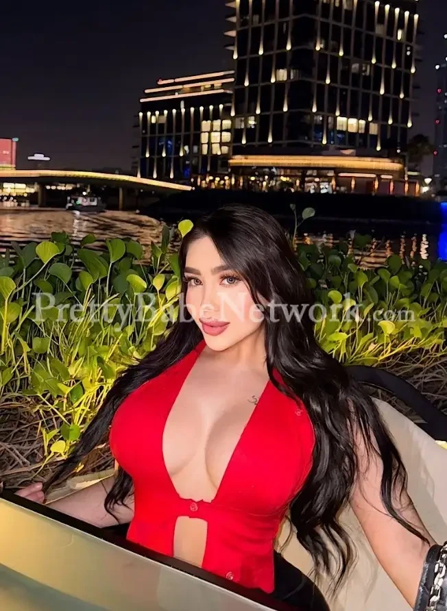 Agency Profile Ariana, Big Boobs Colombian Escort in Gurgaon Sector 106